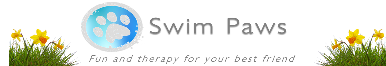Swim Paws