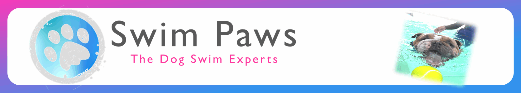 Swim Paws